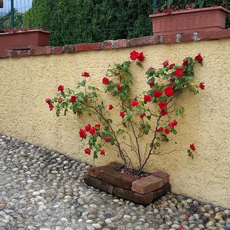 La Casa Del Pozzo Lejlighed Cumiana