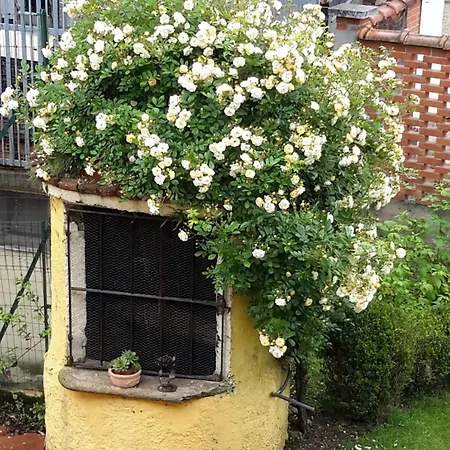 Lejlighed La Casa Del Pozzo