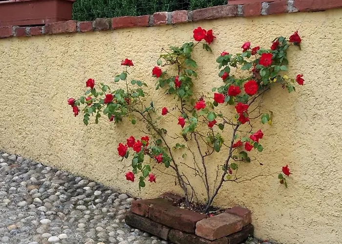 La Casa Del Pozzo 아파트 쿠미아나
